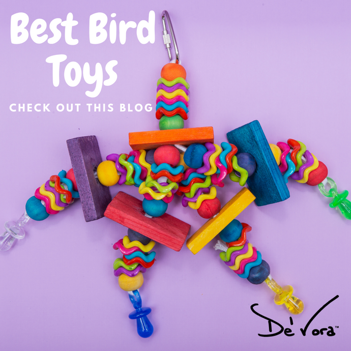 Best bird toys!