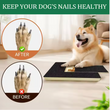 Carregar imagem no visualizador da galeria, Buddy Trainer Board