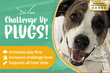 Load image into Gallery viewer, De' Vora Pet Products  Small-  MEDIUM (Presale only) De' Vora "Challenge Up" Plugs