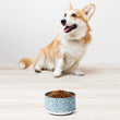Load image into Gallery viewer, De' Vora Pet Products  18oz Pet bowl