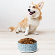 Load image into Gallery viewer, De' Vora Pet Products  32oz Pet bowl