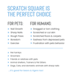Carregar imagem no visualizador da galeria, De' Vora Pet Products Toys Scratch Square for Dogs