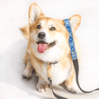 Load image into Gallery viewer, FriendshipCollars Collars and Leashes MATCHING FRENDSHIP LEASHES