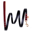 Load image into Gallery viewer, FriendshipCollars Collars and Leashes The Hipster Pup / 5 ft MATCHING FRENDSHIP LEASHES