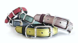 MyFamily Collars & Leashes FIRENZE COLLAR COLLECTION