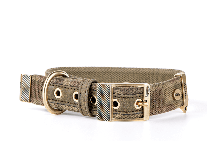 SAINT TROPEZ COLLAR COLLECTION – De' Vora Pet Products