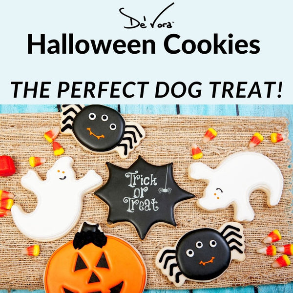 Trick o Treat Ready?