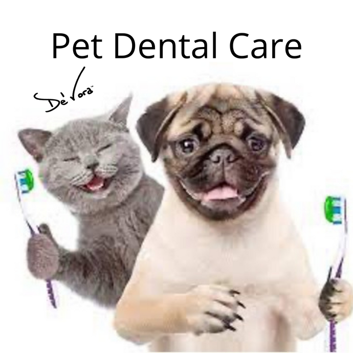 Your Pet’s Dental Care