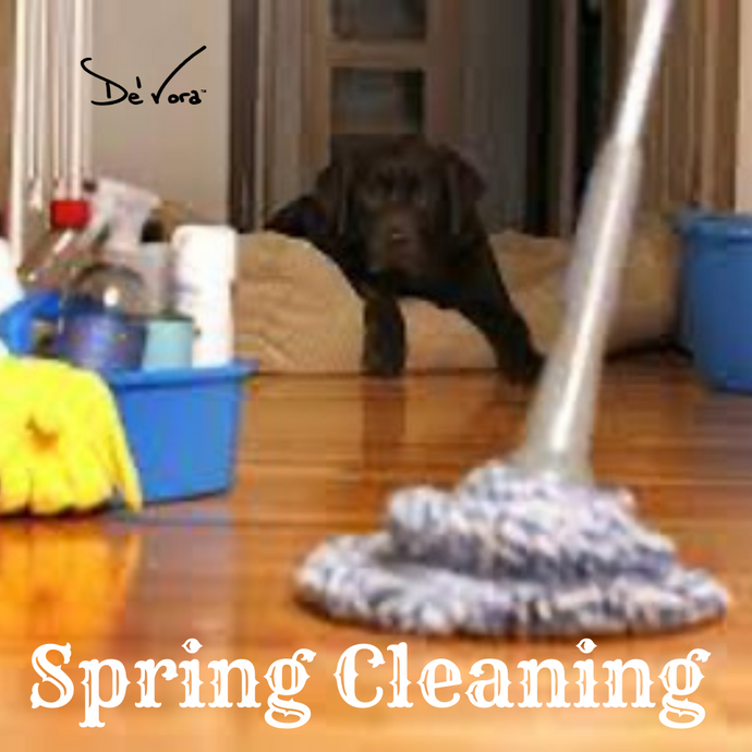 Spring Cleaning for Pets!
