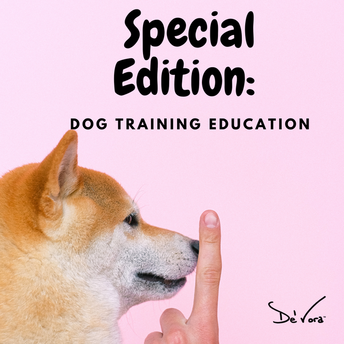 Special Edition: Dog training education!