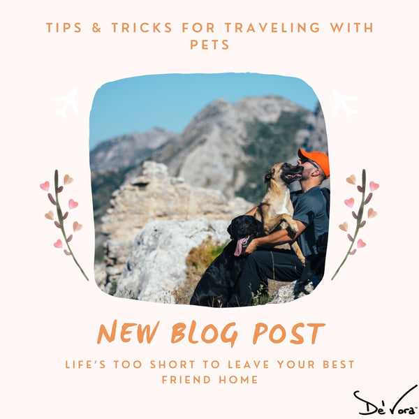 Spring Break with Pets!
