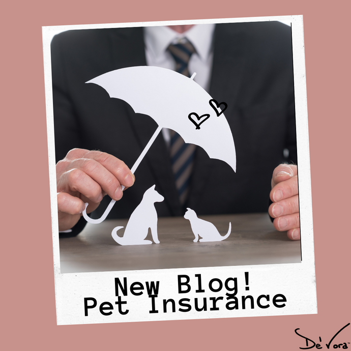 Pet Insurance; What you need to know.