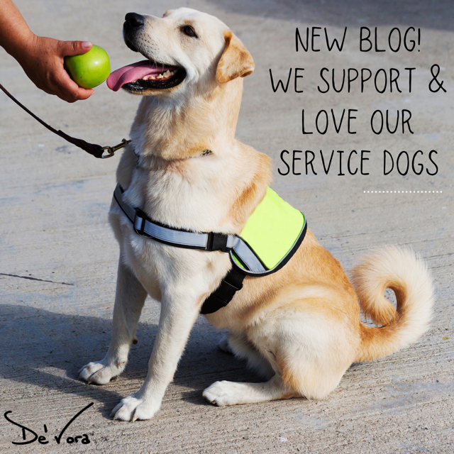 We Support and Love Our Service Dogs