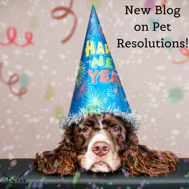 What are your pets' New Year’s Resolution?