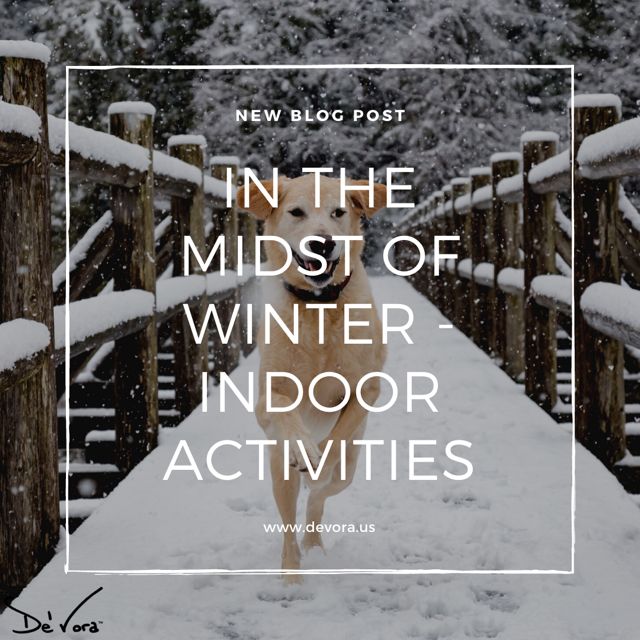 Indoor activities for you & your pets!