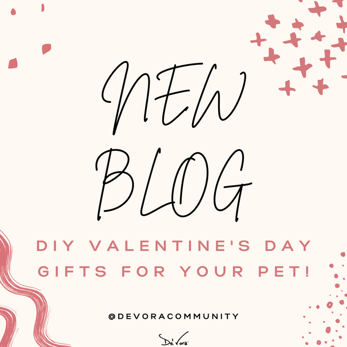 Do It Yourself (DIY) Pet Gifts for Valentine's day!