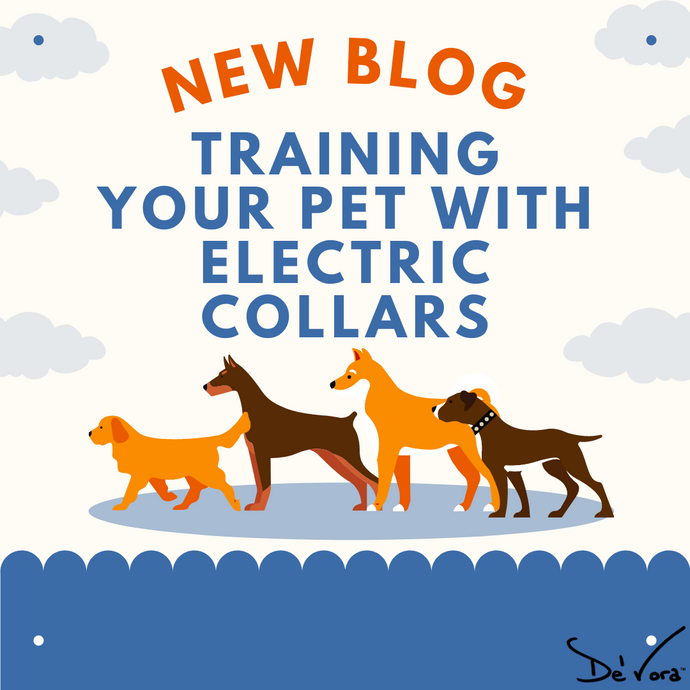 The hot topic of Electric Collars