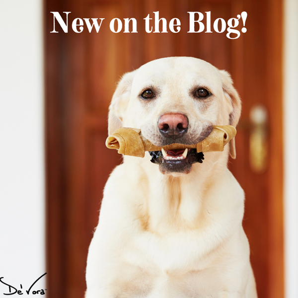 Rawhide: is it good for your pooch?