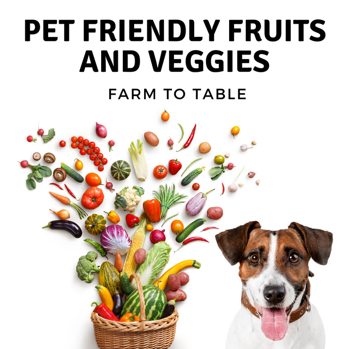 Pet Friendly Spring Fruits & Veggies