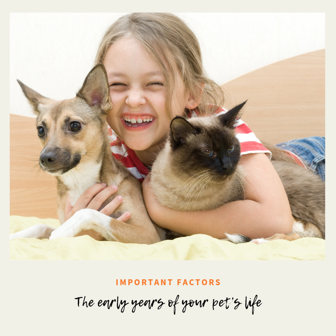 Early Years Of Your Pet’s Life: Here are Some Important Factors You May Not Have Considered!