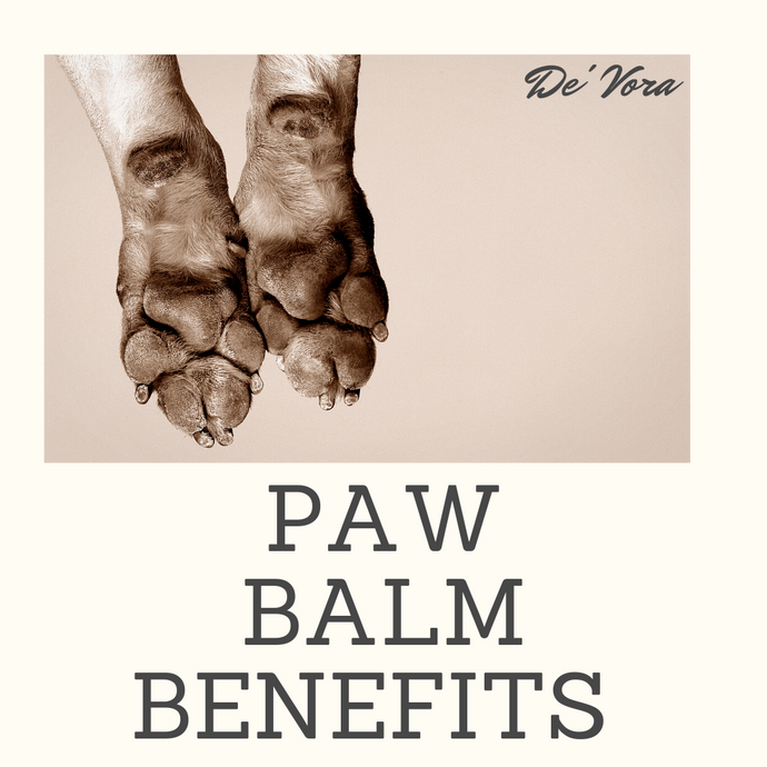 Paw Balm; Like lotion for humans!