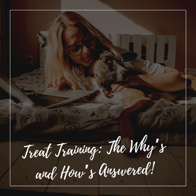 Treat Training: The Why’s and How’s Answered!