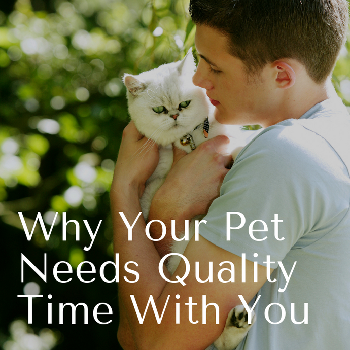 WHY YOUR PET NEEDS QUALITY TIME WITH YOU.