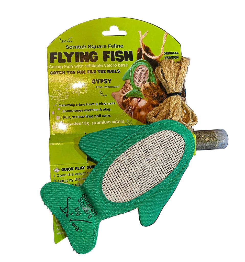 Scratch Square Feline