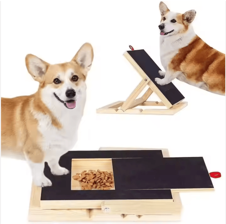 De’Vora Adjustable Dog Scratch Board with Treat Box – Galaxy Trainer R ...
