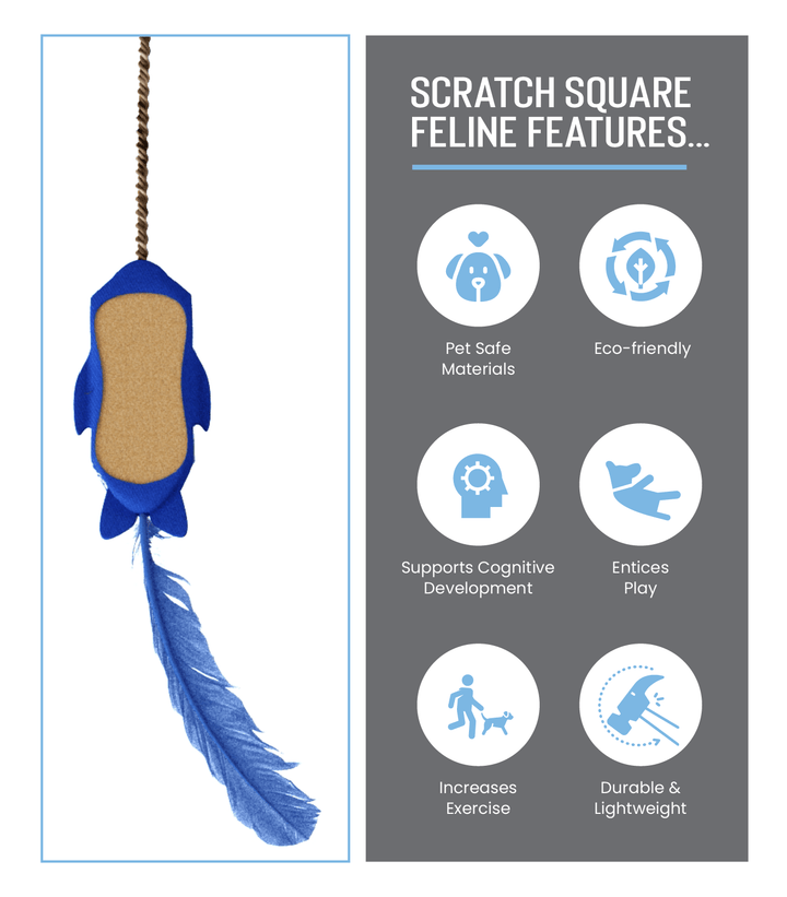 De' Vora Scratch Square Dog & Cat Grooming Toy Stores: Ultimate Pet Care Essentials