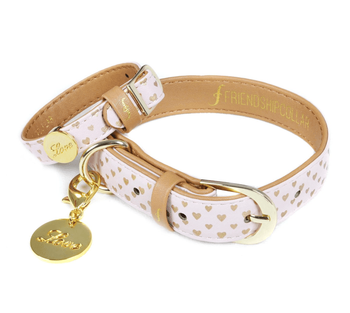 Friendship collar 2025 for dogs
