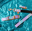Charger l&#39;image dans la galerie, FriendshipCollars Collars and Leashes Mermaid Tails / 5 ft MATCHING FRENDSHIP LEASHES