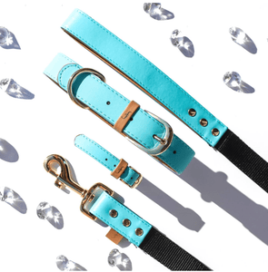 FriendshipCollars Collars and Leashes The Classic Pup: Azure / 5 ft MATCHING FRENDSHIP LEASHES