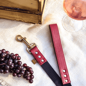 FriendshipCollars Collars and Leashes The Classic Pup: Bordeaux / 5 ft MATCHING FRENDSHIP LEASHES