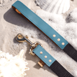 Load image into Gallery viewer, FriendshipCollars Collars and Leashes The Classic Pup: Seafoam Blue / 5 ft MATCHING FRENDSHIP LEASHES