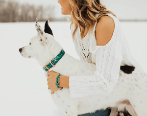 FriendshipCollars Collars and Leashes THE BESTIE COLLAR COLLECTION