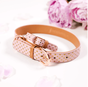 FriendshipCollars Collars and Leashes Puppy Love / XXX Small (6" - 9") THE GILDED COLLAR COLLECTION