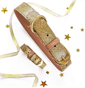 FriendshipCollars Collars and Leashes Glitter Gold / XXX Small ( 6"-9") THE SPARKLING PUP COLLAR COLLECTION