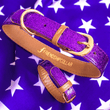 Carregar imagem no visualizador da galeria, FriendshipCollars Collars and Leashes Glitter Purple / XXX Small (6&quot; - 9&quot;) THE SPARKLING PUP COLLAR COLLECTION