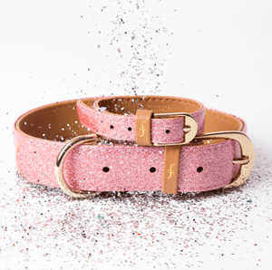 FriendshipCollars Collars and Leashes Pawsitively Pink / XXX Small (6" - 9") THE SPARKLING PUP COLLAR COLLECTION
