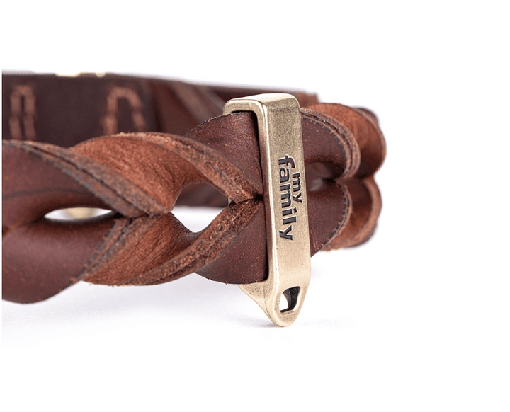 Brown Chewy V Inspired Dog Harness and Leash Set