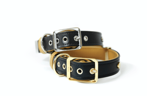 MyFamily Collars & Leashes HERMITAGE COLLAR COLLECTION