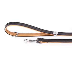 MyFamily Collars & Leashes BLACK & OCHRE / 4' / Small HERMITAGE LEASH COLLECTION