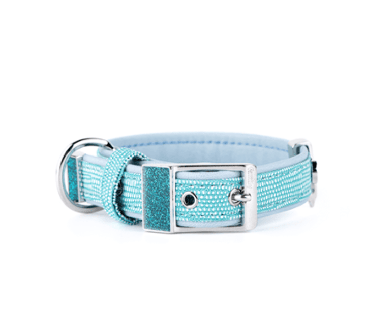 Tiffany blue dog top collar and leash