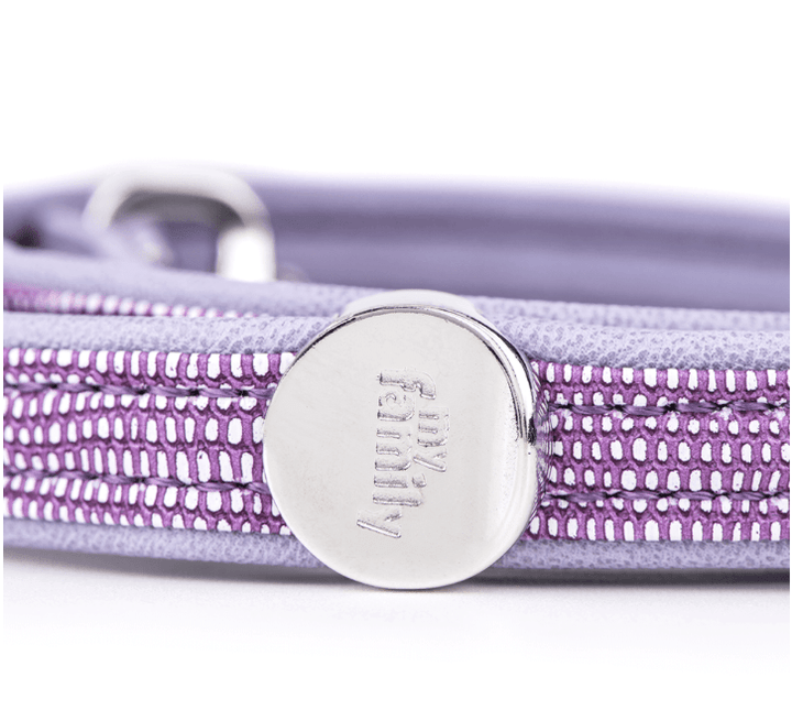 Chatzy leash and sales collar