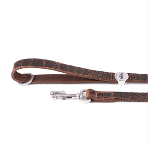 MyFamily Collars & Leashes BROWN CROCODILE TEXTURE / 4' TUCSON LEASH  COLLECTION