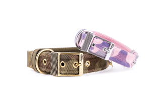 MyFamily Collars & Leashes WEST POINT COLLAR COLLECTION